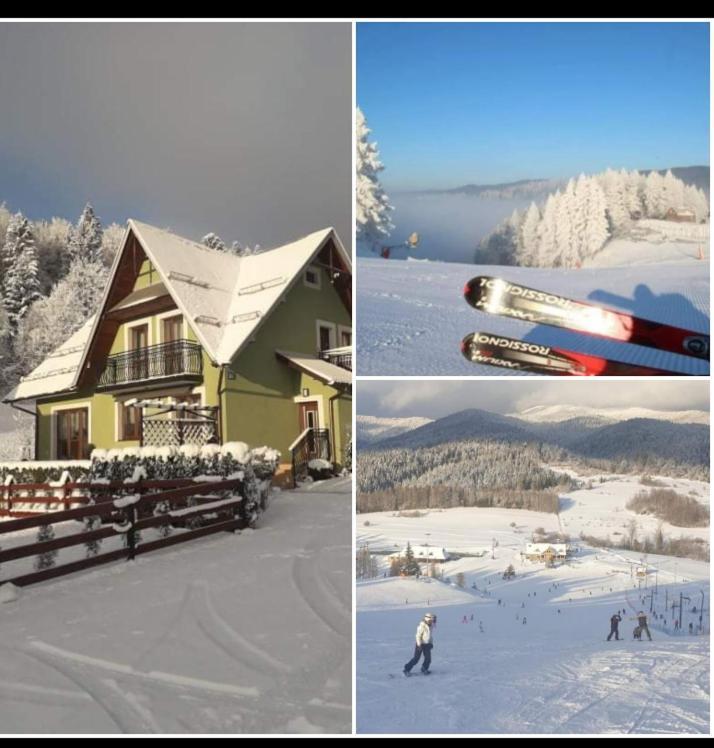 Appartamento Zakatek Pienin Grywald Esterno foto
